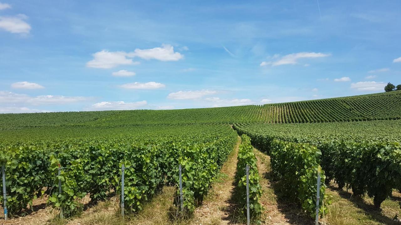 Enjoy En Champagne Maison Calme Au Milieu Du Vignoble Avec Parking Gratuit Dormans Exterior foto